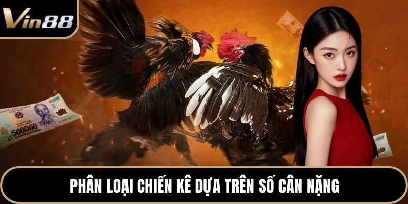 Phân loại chiến kê dựa trên số cân nặng